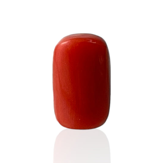 Red Coral (Italian) - 4.93 Carat
