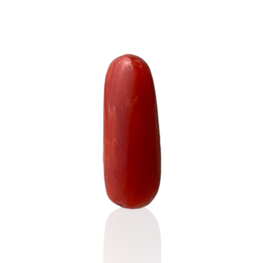 Red Coral (Italian) - 6.41 Carat