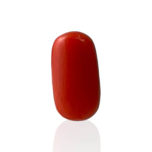 Red Coral (Italian) - 3.79 Carat