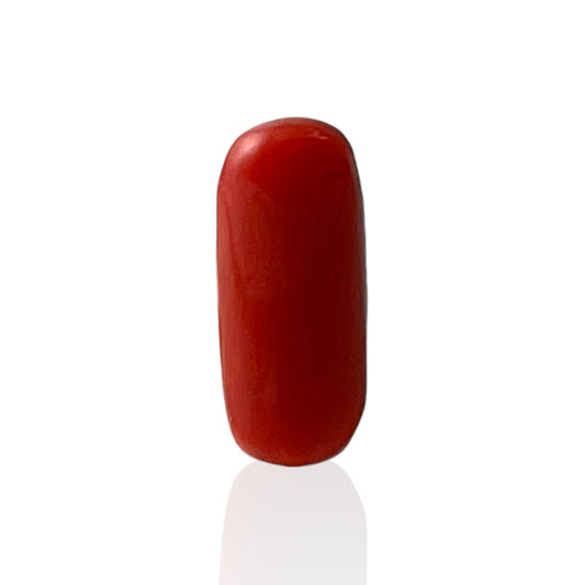 Red Coral (Italian) - 4.2 Carat