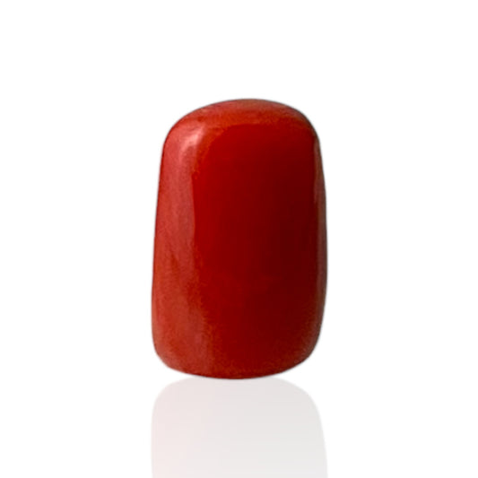 Red Coral (Italian) - 4.58 Carat