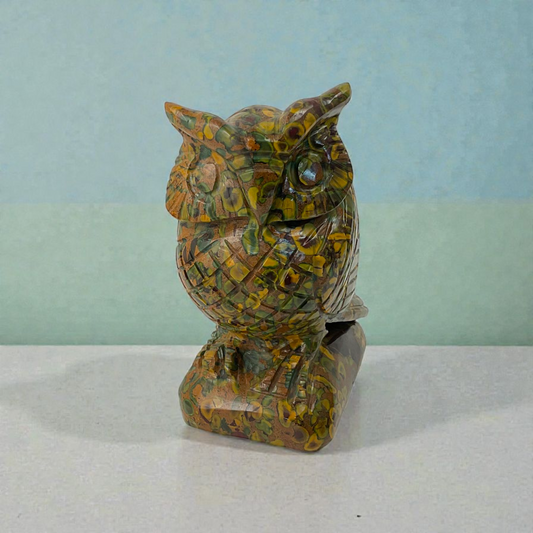 Fruit jasper owl