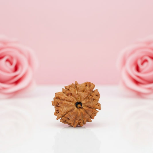 Natural 9 Mukhi Rudraksha Beads – AA Premium Quality