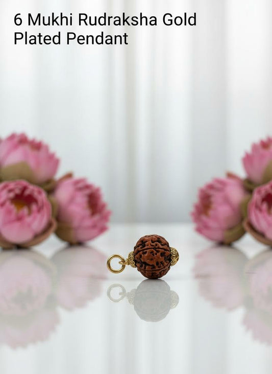 6 Mukhi Rudraksha Gold Plated Pendant