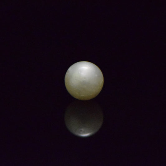 South Sea Pearl - 7.38 Carat