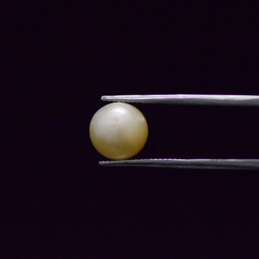 South Sea Pearl - 6.58 Carat