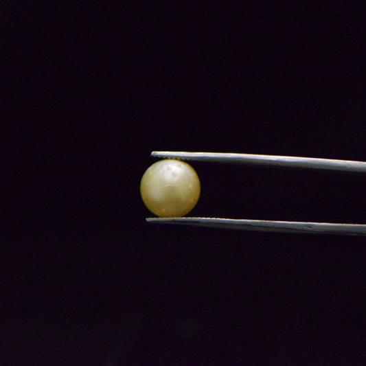 South Sea Pearl - 6.97 Carat