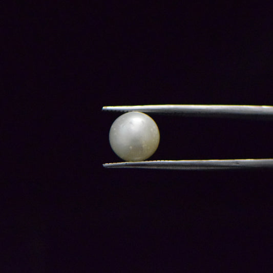 South Sea Pearl - 7.38 Carat