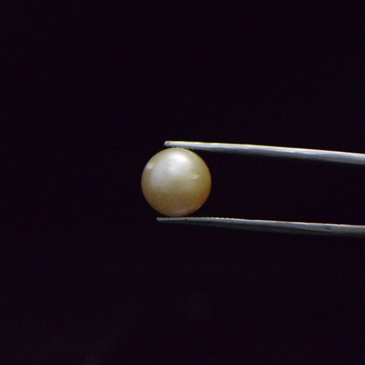 South Sea Pearl - 9.25 Carat