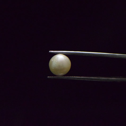 South Sea Pearl - 6.75 Carat