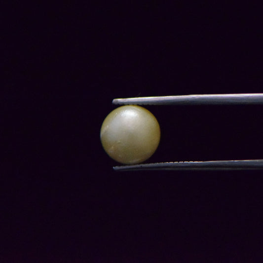 South Sea Pearl - 6.43 Carat