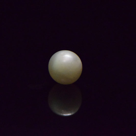 South Sea Pearl - 6.84 Carat