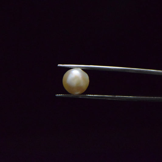 Fresh Water Pearl - 6.27 Carat
