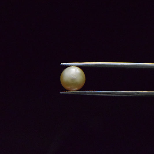 South Sea Pearl - 4.76 Carat