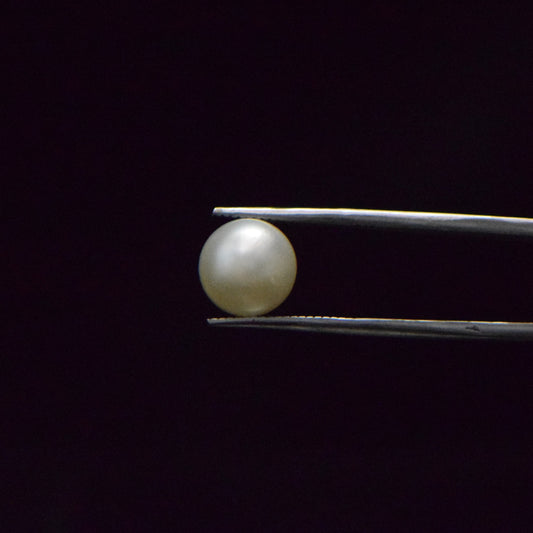 South Sea Pearl - 6.84 Carat