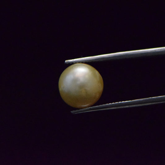 South Sea Pearl - 9.26 Carat