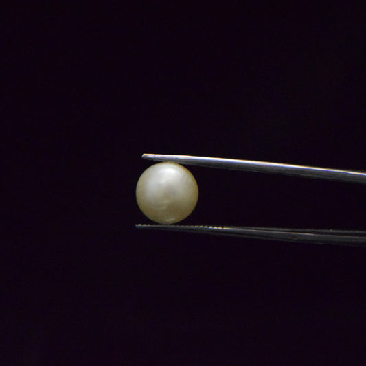 South Sea Pearl - 8.55 Carat