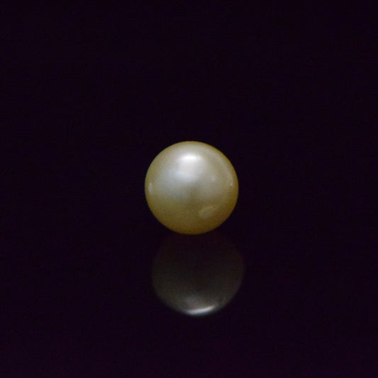 South Sea Pearl - 8.49 Carat