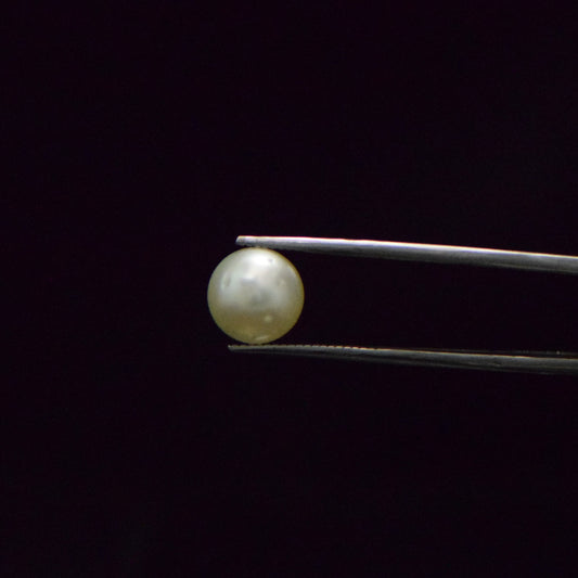 South Sea Pearl - 6.53 Carat