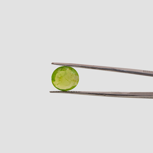 Peridot - 5.53 Carat