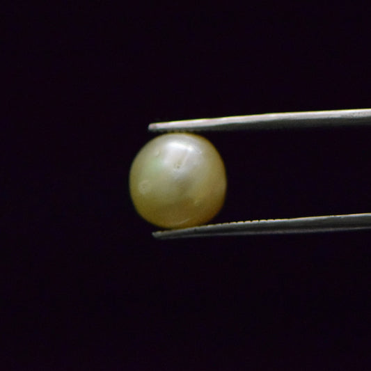 South Sea Pearl - 8.49 Carat