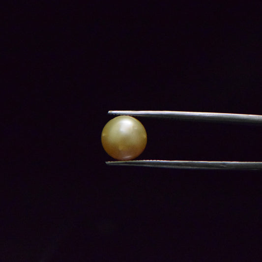 South Sea Pearl - 8.27 Carat