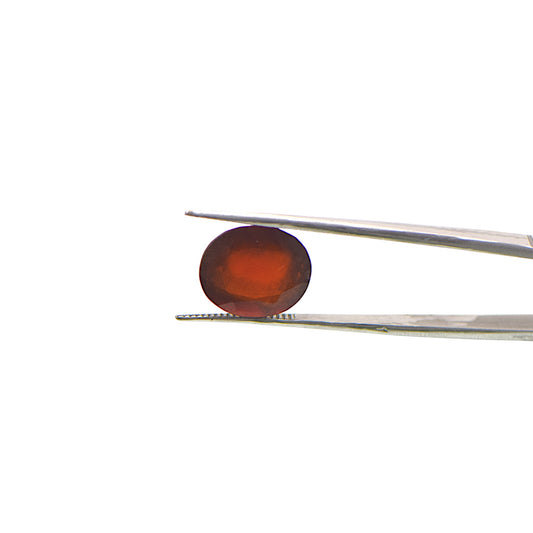 Hessonite (Gomed) - 10.95 Carat | A-Quality