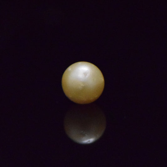 South Sea Pearl - 7.41 Carat