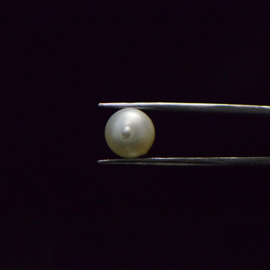 South Sea Pearl - 9.1 Carat