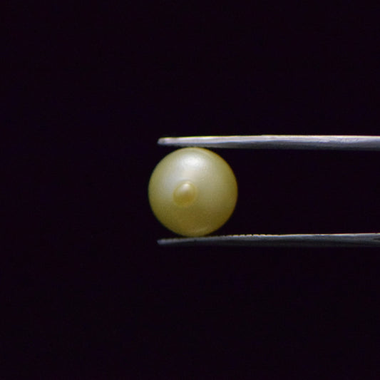 South Sea Pearl - 8.48 Carat