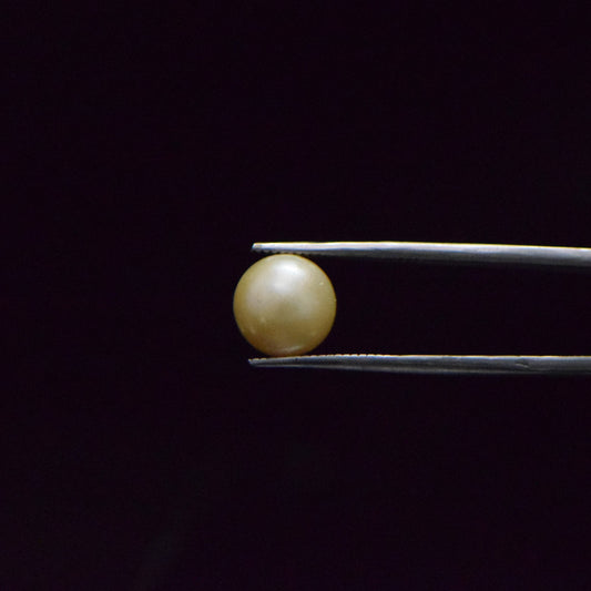 South Sea Pearl - 7.41 Carat