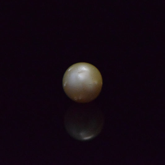 South Sea Pearl - 7.64 Carat