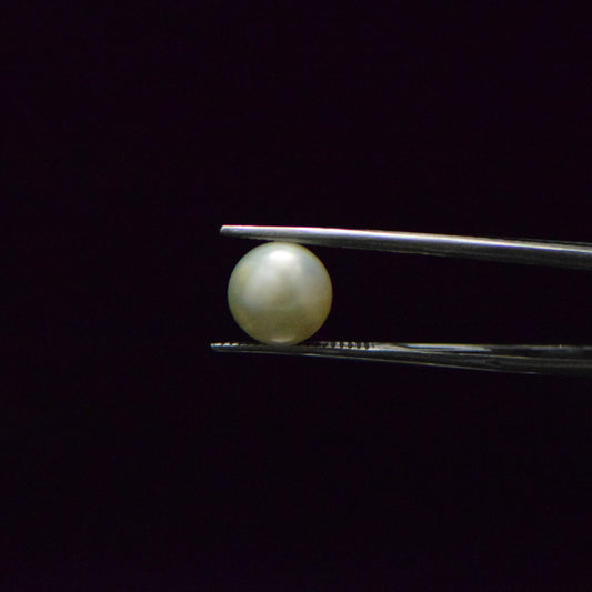 Fresh Water Pearl - 5.8 Carat