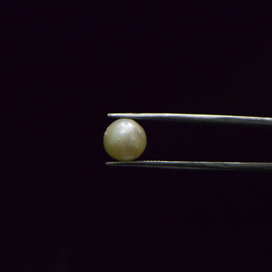 South Sea Pearl - 6.54 Carat