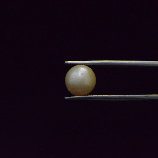 South Sea Pearl - 7.64 Carat