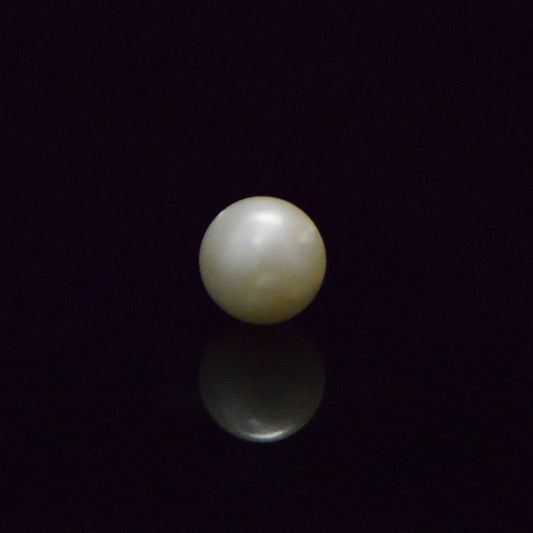 South Sea Pearl - 5.53 Carat