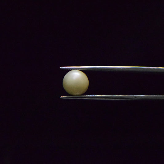 South Sea Pearl - 5.53 Carat