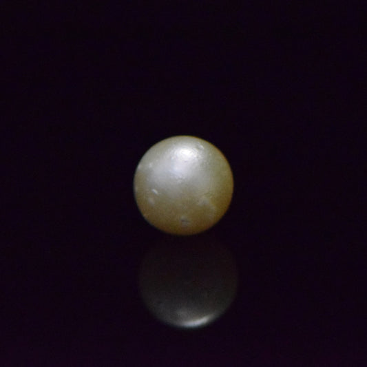 South Sea Pearl - 9.14 Carat
