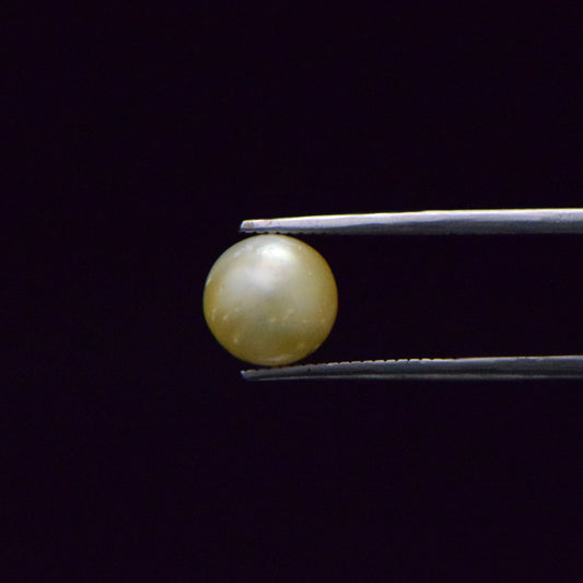 South Sea Pearl - 5.66 Carat