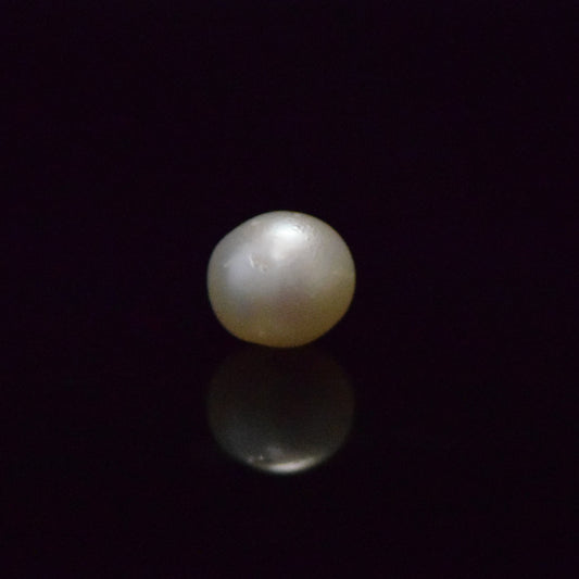 South Sea Pearl - 6.56 Carat