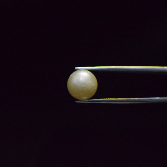 South Sea Pearl - 9.14 Carat