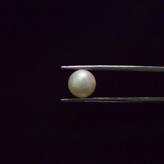 South Sea Pearl - 6.56 Carat