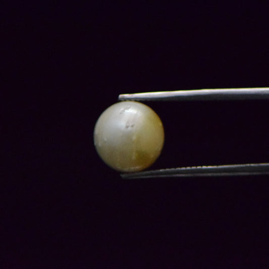 South Sea Pearl - 9.27 Carat