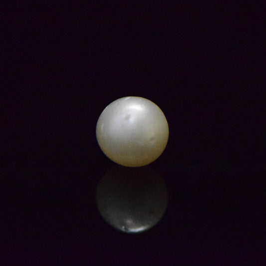 South Sea Pearl - 7.28 Carat