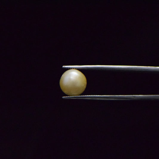 South Sea Pearl - 7.46 Carat