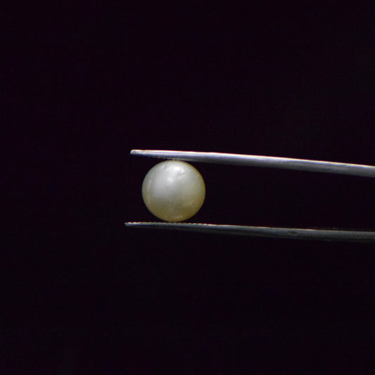 South Sea Pearl - 7.28 Carat