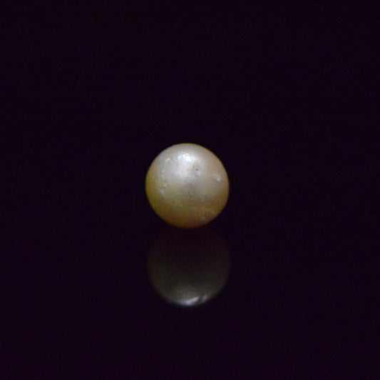 South Sea Pearl - 6.72 Carat