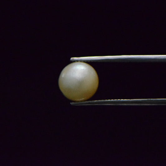 South Sea Pearl - 6.72 Carat