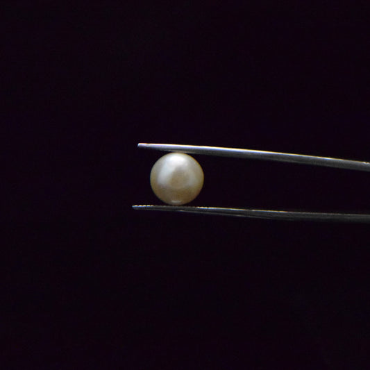 Fresh Water Pearl - 6.43 Carat