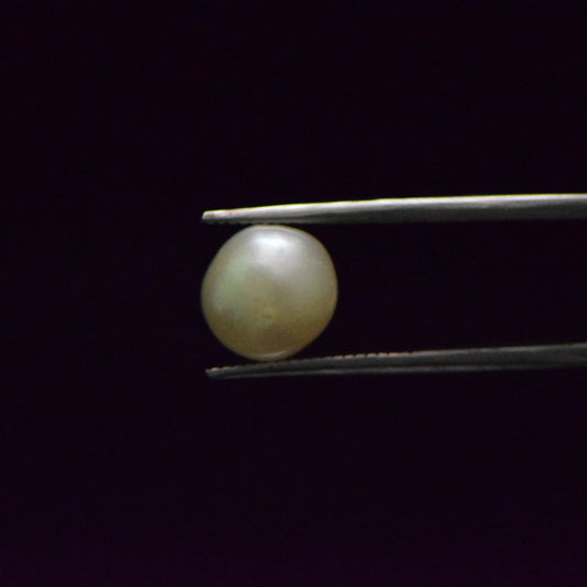 South Sea Pearl - 6.61 Carat